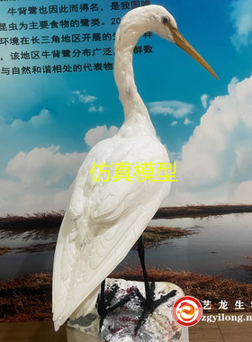 仿真动物鸟标本中小学校科普馆