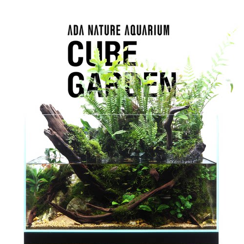 ADA中小型超白玻璃方形鱼缸薄胶痕无公差水草造景鱼缸包邮圆通 - 图3