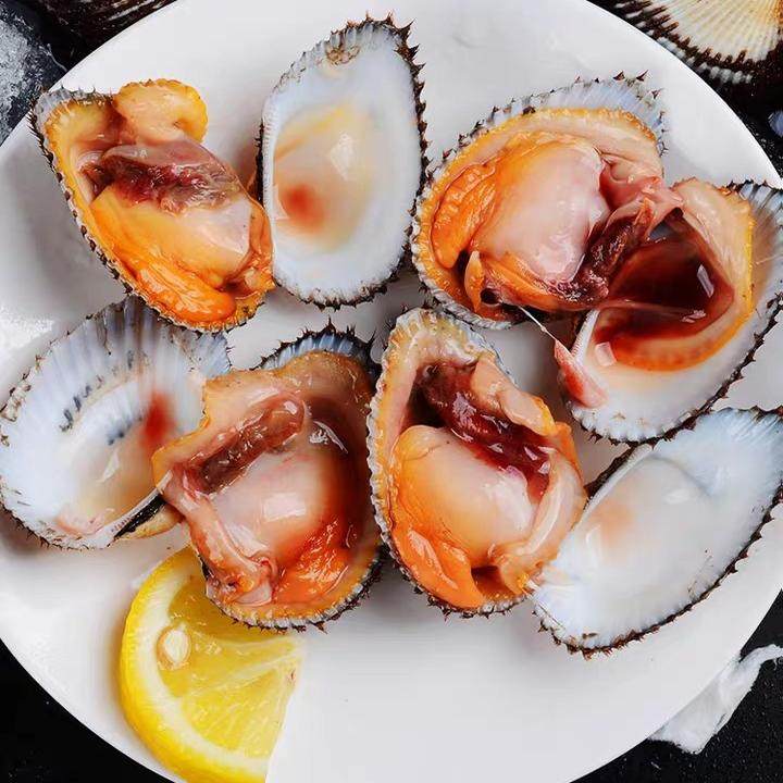 3斤装血哈海鲜鲜活 毛蛤蜊 血蛤蜊 海鲜水产贝类野生无沙花蛤血蛤,淘宝优惠券,粉丝福利购,淘宝优惠卷