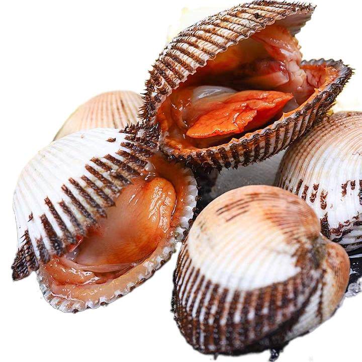 3斤装血哈海鲜鲜活 毛蛤蜊 血蛤蜊 海鲜水产贝类野生无沙花蛤血蛤,淘宝优惠券,粉丝福利购,淘宝优惠卷