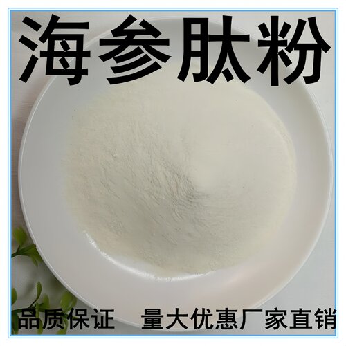 海参肽粉小分子低聚肽厂家直供海参小分子活性肽海参粉海参肽原料 - 图0