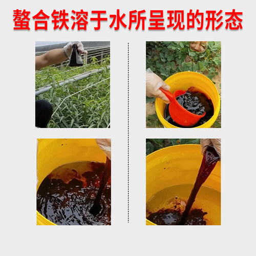 螯合铁EDDHA-Fe6柑橘黄叶螯合铁肥 - 图0