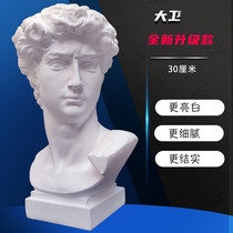 David Plaster Statue bust Fine art teaching aids Sketch Sculpture Wedding Photography Decorative figurines Figurines figure models