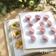 Выбивая прибор 押花艺术自制植物标本干花压花器自然课植物标本制作简易干花工具