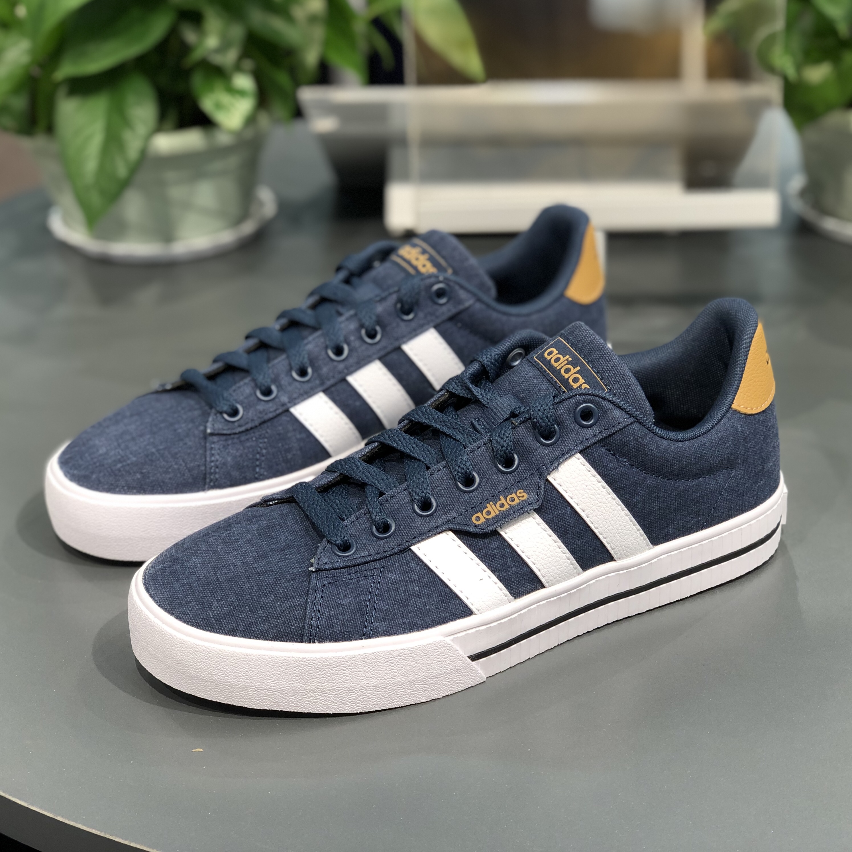 Adidas/阿迪达斯男鞋DAILY 3.0潮流经典帆布运动休闲鞋板鞋GY8115 - 图0