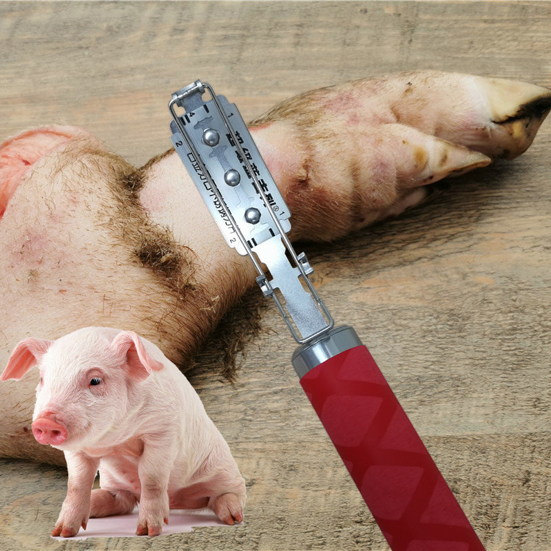 刮猪毛刀片杀猪神器剃猪毛刀架去猪毛神器卖肉专用刀刨刮猪毛神器 - 图0