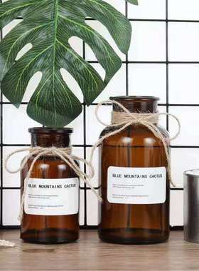 ins透明花瓶玻璃北欧风