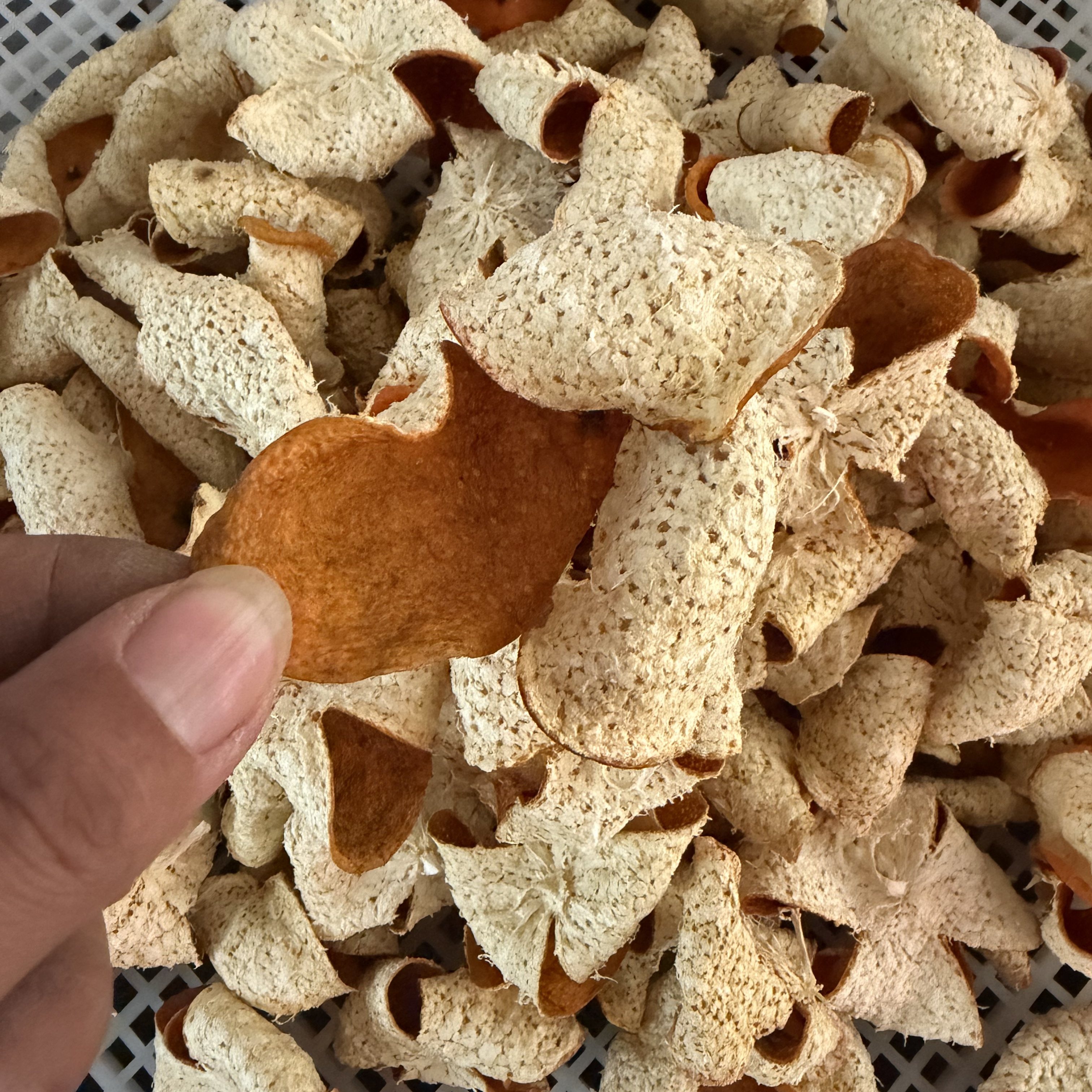 茶坑果农2025年正宗新会陈皮柑8年老树圈枝冬后大红柑皮,淘宝优惠券,粉丝福利购,淘宝优惠卷