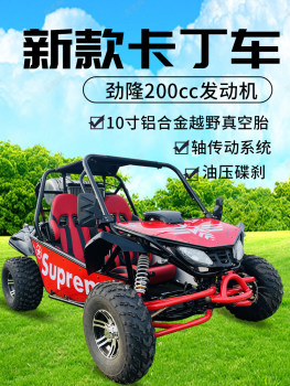 300cc ເປັນເອກະລາດ suspension off-road go-kart shaft transmission all-terrain UTV scenic site ການດໍາເນີນງານຍານພາຫະນະຫາດຊາຍຫາດຊາຍ