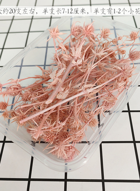 永生花小刺芹迷你小菠萝diy手工花材包装礼盒配花短枝干花盒装批