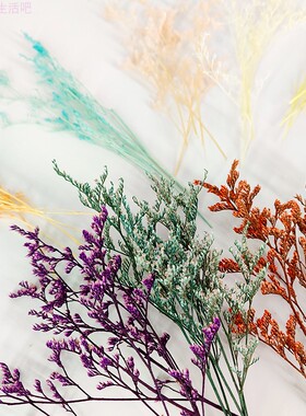 永生花情人草干花贺卡手工贴画