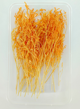 DIY永生花橙色系盒装干花材料包