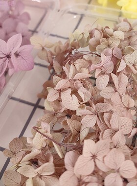 永生花安娜绣球diy干花材料盒装