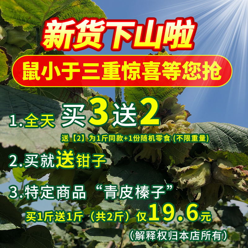 鼠小于2023东北新鲜榛子新货铁岭小榛子东北特产炒熟坚果500g包邮 - 图0