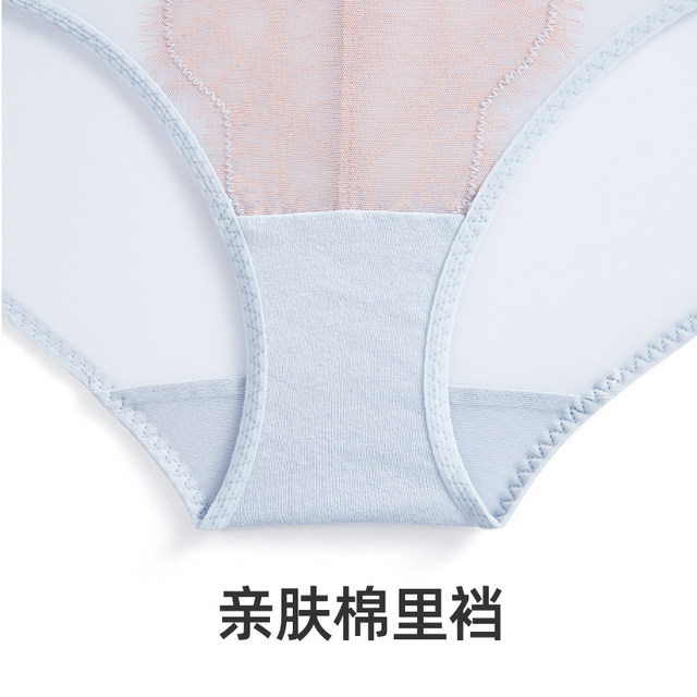 Hsia mid-waist boxer briefs thin lace women