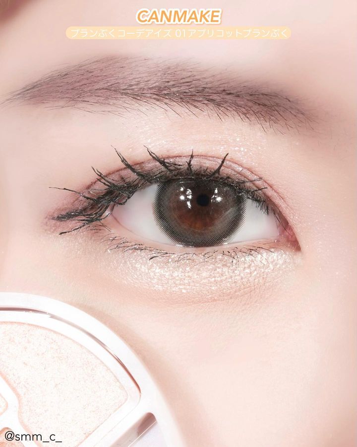 日本canmake/井田卧蚕泪袋四色眼影盘珠光修饰眼部轮廓新色05 N01 - 图0