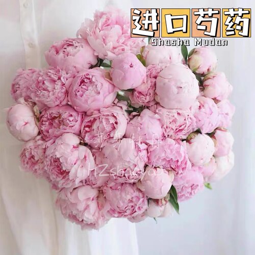 【进口芍药大合集】4月底发货高品质重瓣婚礼家庭插花水养花莎莎 - 图1