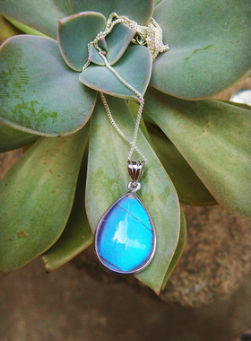 纯银蝴蝶标本翅膀原创礼物吊坠