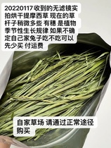 Baby lift no goods thank you everyone for the likes of Baby ti well see you in June. 