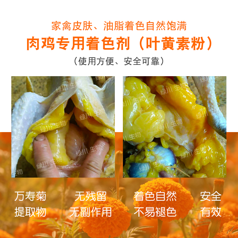 肉鸡用天然着色剂叶黄素粉末禽类饲料添加剂皮肤脚胫着色包邮 - 图0