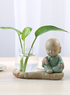 绿萝水培植物透明玻璃家用客厅