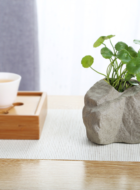 手工水培花瓶台面铜钱草装饰摆件