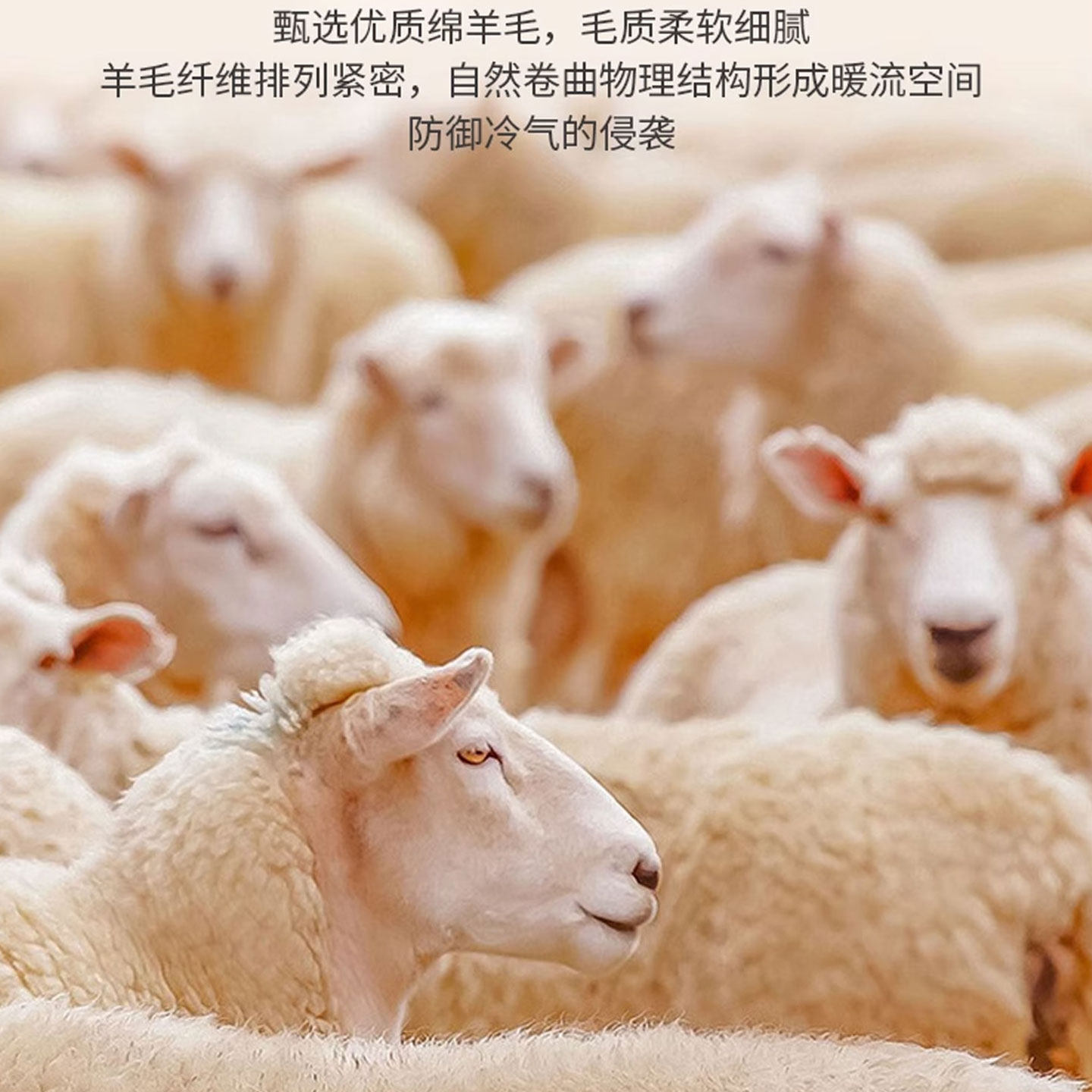 哈尔滨男女士打底裤加绒加厚保暖裤秋冬纯棉不起球秋裤内穿羊毛裤,淘宝优惠券,粉丝福利购,淘宝优惠卷