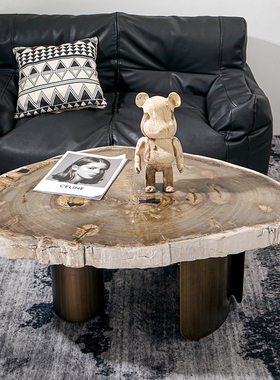 沙发桌会所别墅设计师推荐款客厅石头桌亿年木化石材质天然硅化木