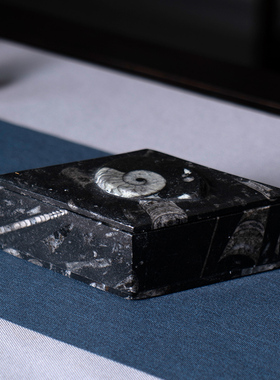 客厅收纳化石盒子乔迁新居送礼