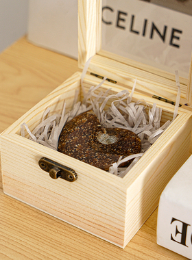 菊螺小摆件古生物海洋化石巴浦洛夫菊石礼盒六一儿童节礼物