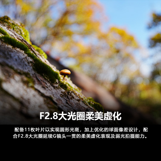 Sony/索尼 FE16-25mm 大光圈广角变焦G镜头 SEL1625G