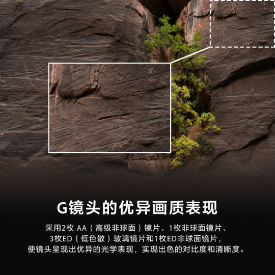 National subsidy for Sony ultra-wide-angle G lens 2070G