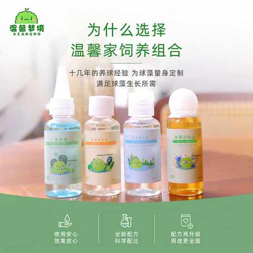 marimo幸福海藻球营养液微景观球藻生态瓶水培植物液态碳家用养护 - 图3
