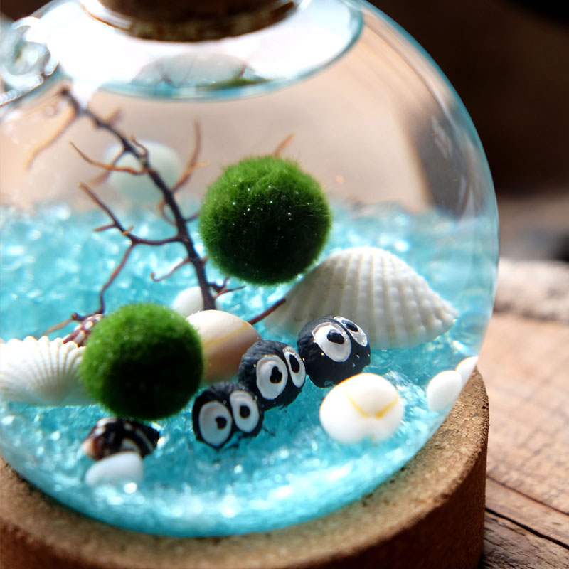 marimo水晶球幸福海藻球室内绿创意盆栽微景观生态瓶礼物水培植物,淘宝优惠券,粉丝福利购,淘宝优惠卷