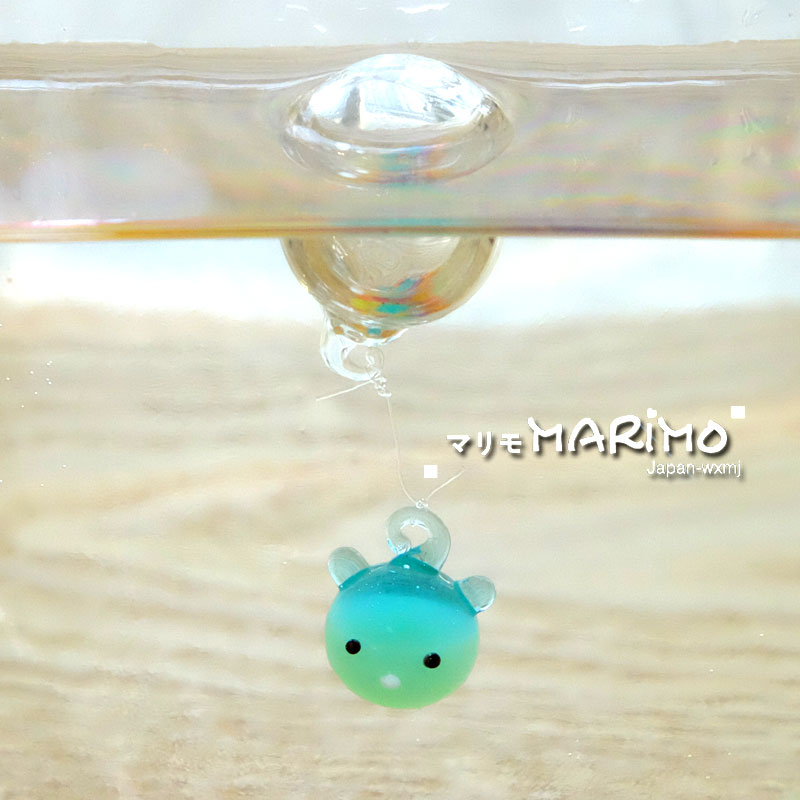 促销水培植物海藻球浮球微景观生态瓶创意diy负离子创意迷你盆栽,淘宝优惠券,粉丝福利购,淘宝优惠卷