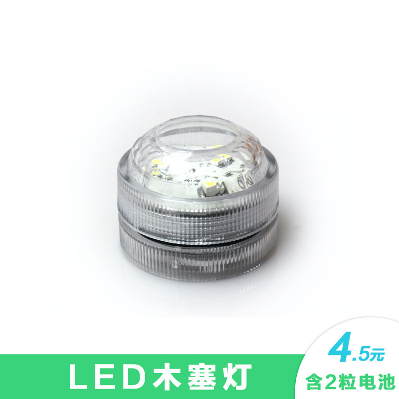 海藻球生态瓶微景观遥控LED灯电池苔藓植物盆栽创意配件DIY材料 - 图0