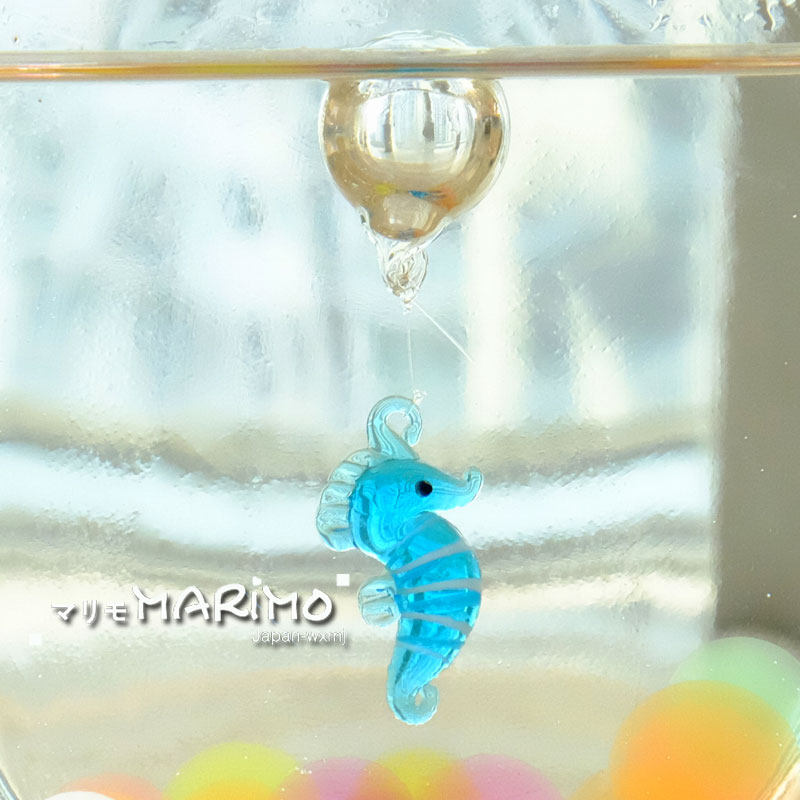 促销水培植物海藻球浮球微景观生态瓶创意diy负离子创意迷你盆栽,淘宝优惠券,粉丝福利购,淘宝优惠卷