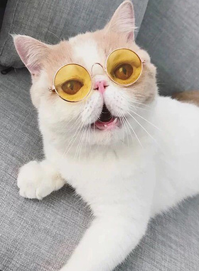 墨镜小型网红宠物狗太阳镜