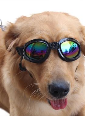 狗狗猫护目镜托车机车专用防风镜