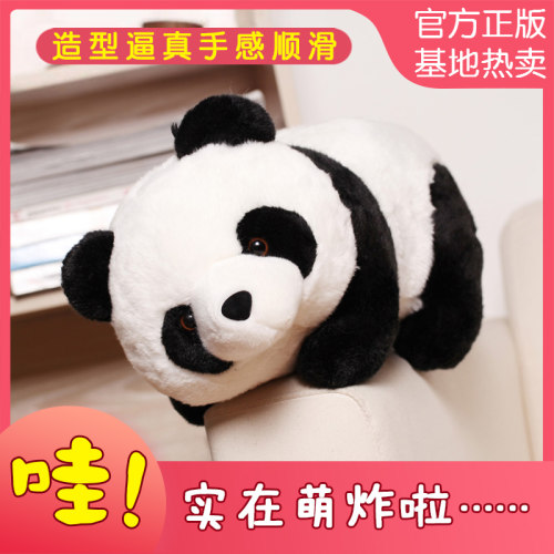 大熊猫毛绒玩具可爱国宝黑白熊猫公仔成都女生礼物趴趴熊玩偶娃娃 - 图0