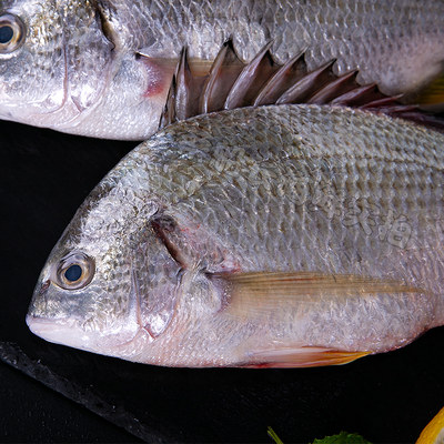 新鲜大黄翅鱼海鲜水产鲜活黄鳍鲷冷冻黄脚立深海鱼1只400 500g 虎窝淘