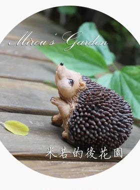 多肉盆景装饰家居摆件贼小刺猬组
