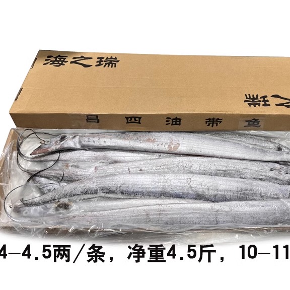 大连特产渤海湾带鱼刀鱼4.5-5斤9-11条无大骨头肉厚鲜嫩冷冻海鲜-图0