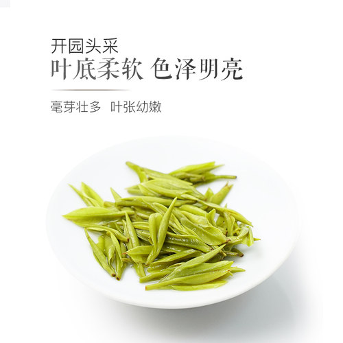 2026精品新茶芳羽安吉白茶头采500g罐装正宗高山绿茶春茶叶伴手礼 - 图2