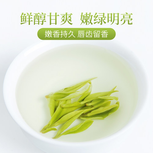 2026新茶现货芳羽安吉白茶正宗明前精品500g罐装珍稀高山绿茶叶 - 图1