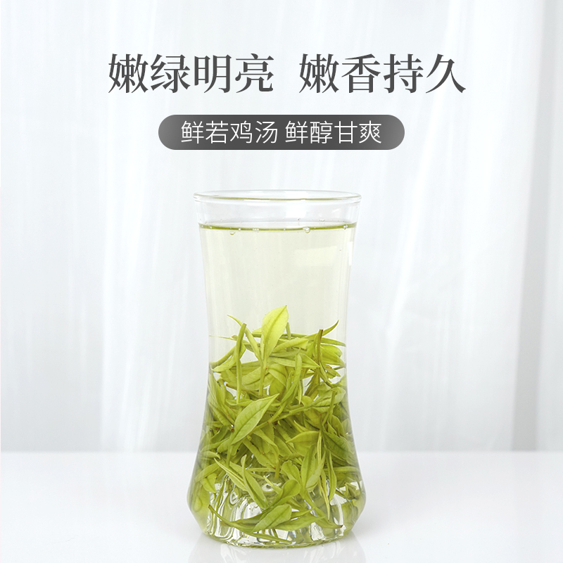 2024年新茶上市芳羽明前特级安吉白茶500g罐装正宗珍稀春茶绿茶叶-图1