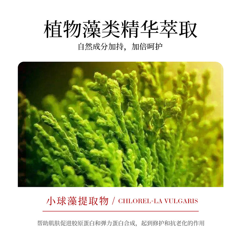 拍~第2件10元梵贞水嫩弹润修润眼霜 梵贞眼霜