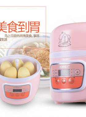 dfg宿舍办公室电饭煲预约定时