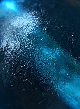 清代官造宫廷御用古法