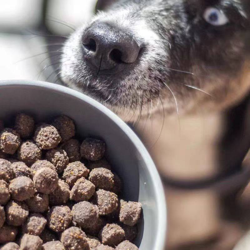波兰Bemo犬粮天然无谷低敏低脂低碳水鲜鸭肉牛肉兔肉低温烘焙狗粮,淘宝优惠券,粉丝福利购,淘宝优惠卷